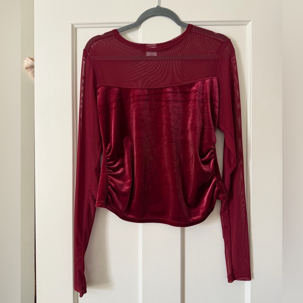 Wild Fable Burgundy Mesh Velvet Long Sleeve Top